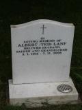 image of grave number 490719